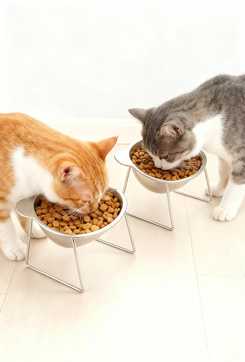 Angled Tilted Feeder with Neck Support, Heat-Resistant & Easy-Clean for Crate or Home Use