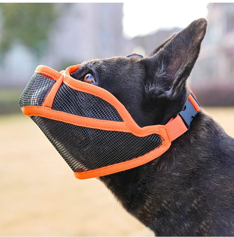 Dog Muzzle for Short