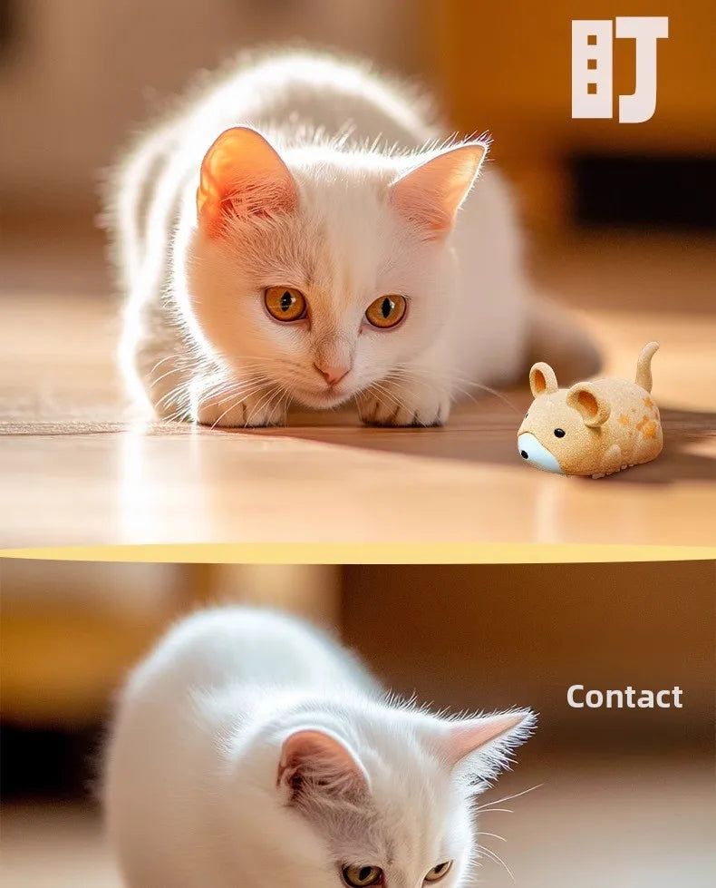 Interactive Cat Toy Electric Cat Toy Mouse Interactive Electric