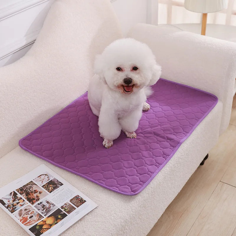 Dog Pee Pad Blanket Reusable Absorbent Diaper Washable Puppy