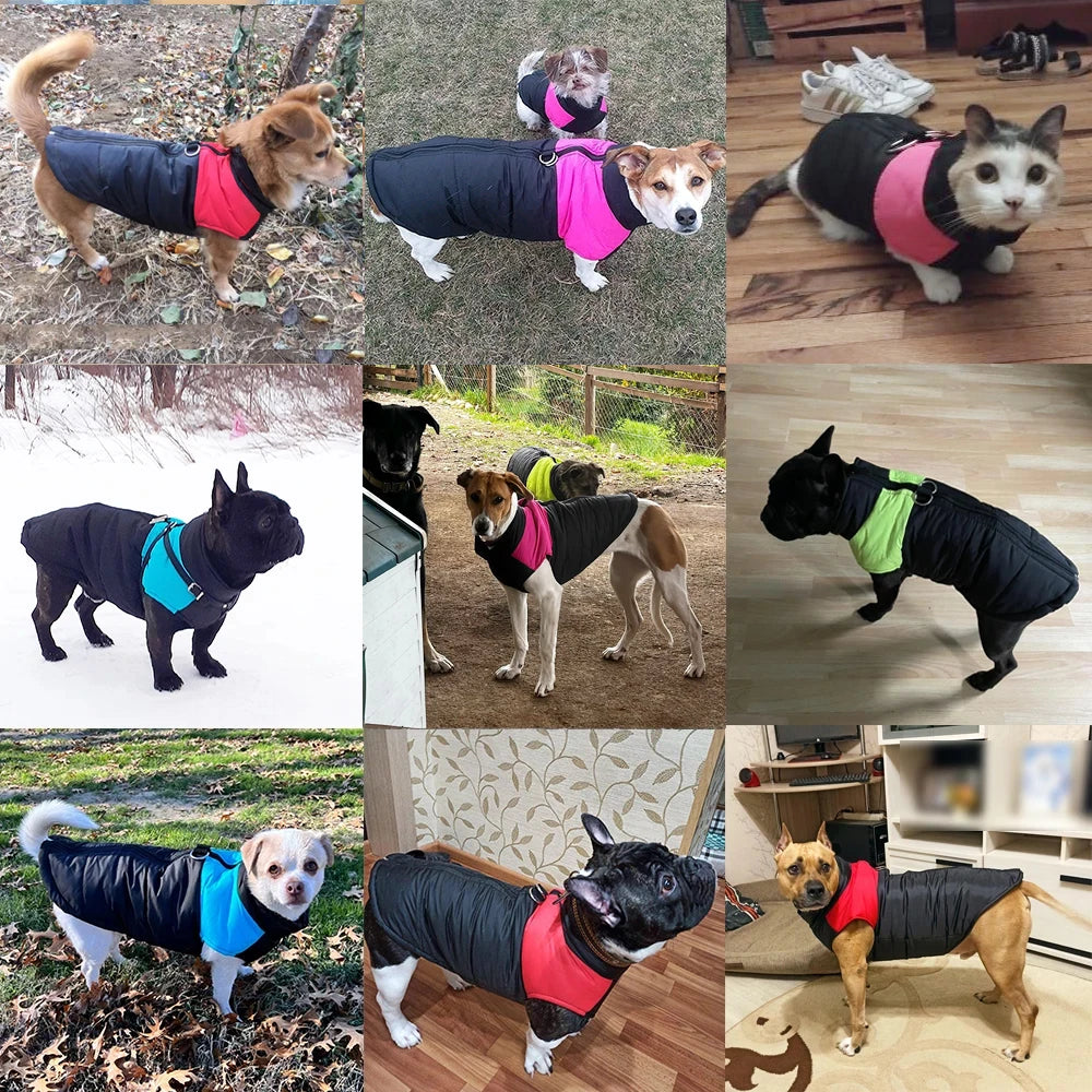 Pet Dog Jacket Warm Winter Clothes For Small Large Dogs