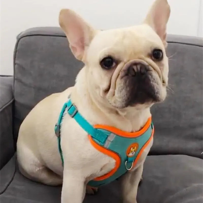 Adjustable No Pull Pet Reflective Dog Harness Lead Walking Running 