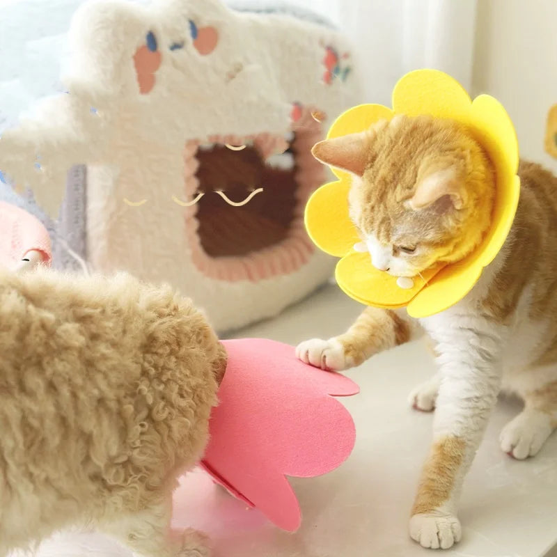 Soft Adjustable Flower Shaped Pet Recovery Collar