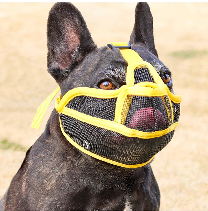 Dog Muzzle for Short