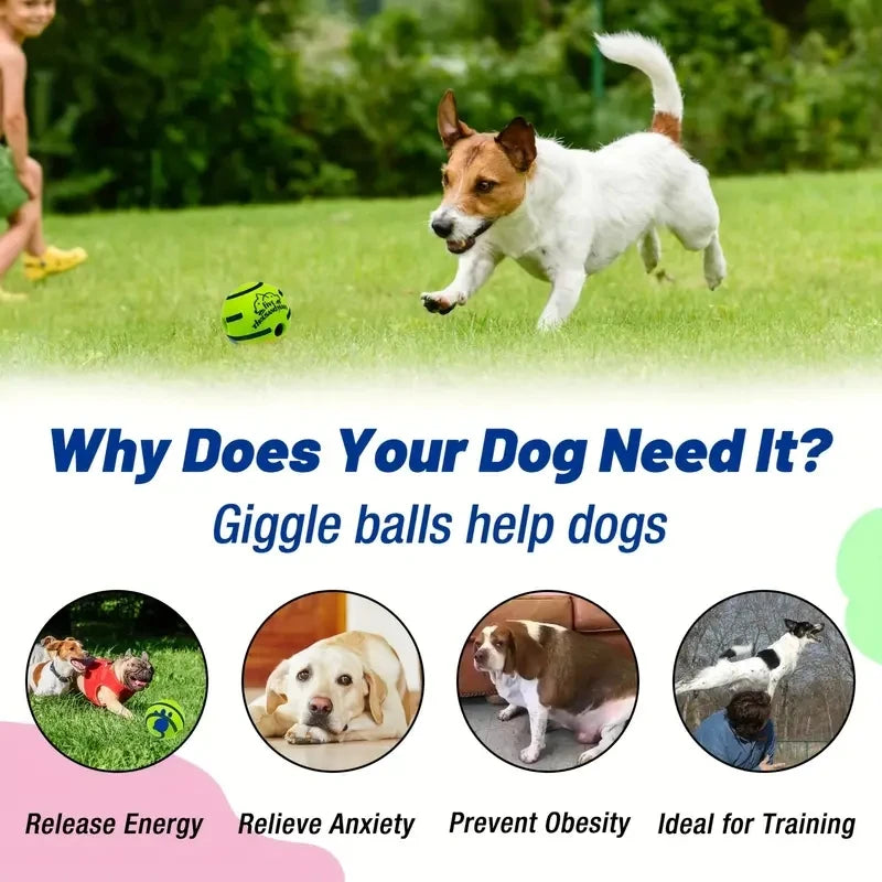 Funny Balls for Dog IQ Training, Pet Interactive Toy, Stimulating Play, Mental Stimulation, and Exerci