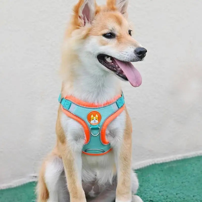 Adjustable No Pull Pet Reflective Dog Harness Lead Walking Running 
